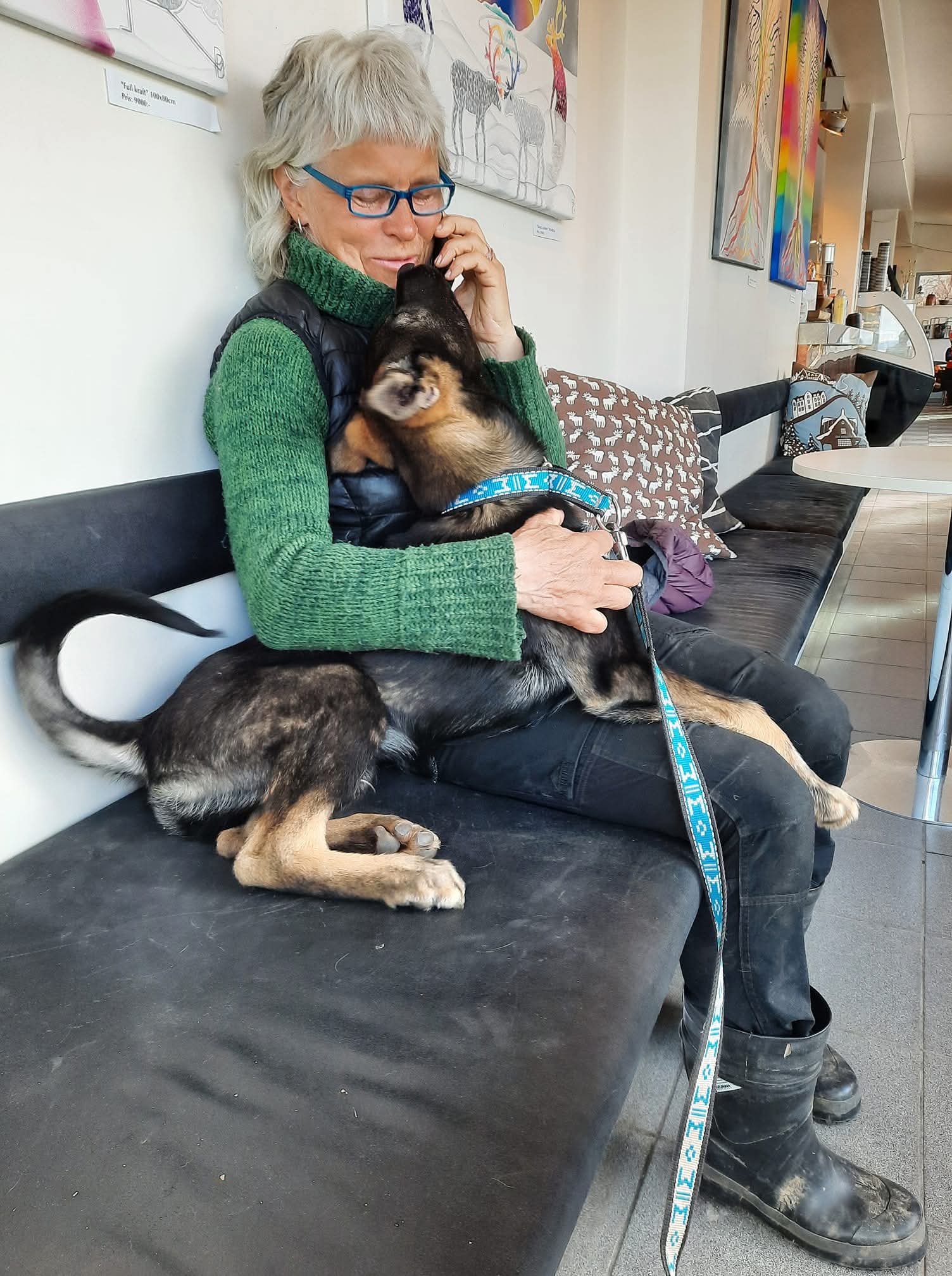 Hand på hund